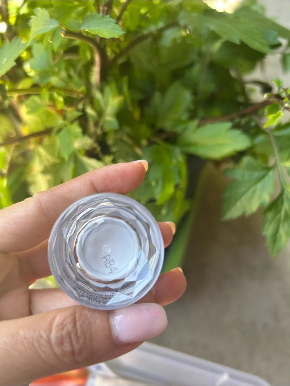 Estee Lauder Re-Nutriv Ultimate Diamond   Eye Cream 5ml no box